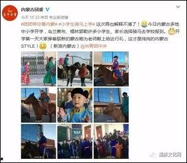 内蒙古楼盘爆料事件视频,揭露惊人内幕，业主权益受损！