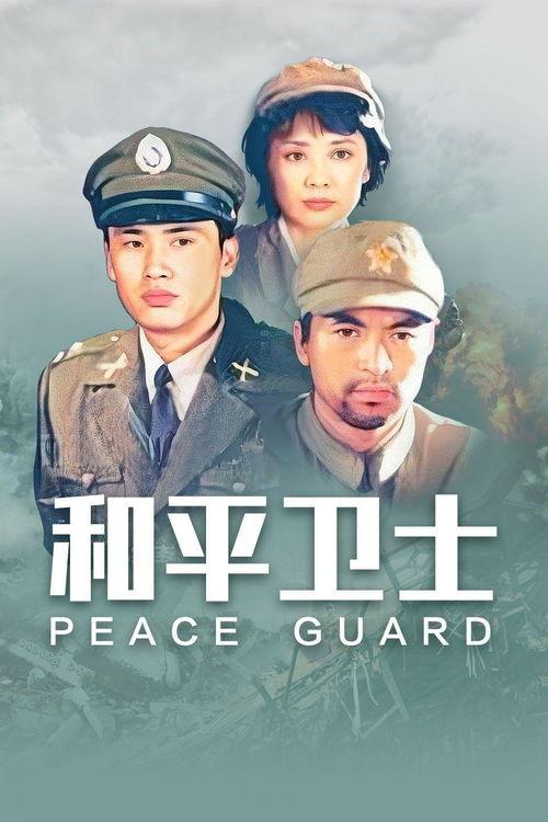 和平卫士全集在线观看,揭秘冷战时期的中美较量