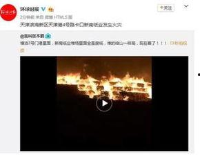 天津滨海事件爆料视频播放,揭秘真相与争议