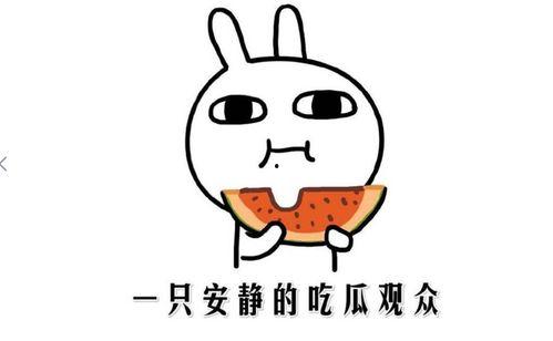 吃瓜网络词是什么意思,网络热词背后的文化现象